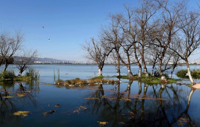 (Multimídia) Realizado fórum sobre promoção da civilização ecológica global no sudoeste da China