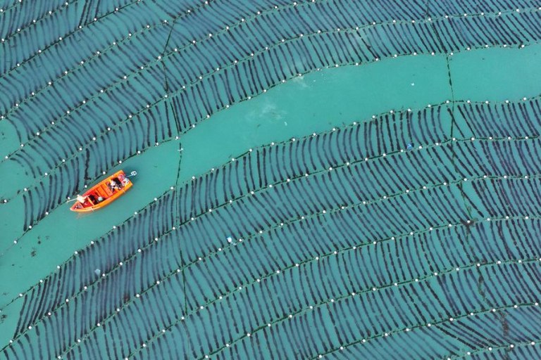 (Multimídia) Índice da economia marinha da China cresce 2,2% em 2025