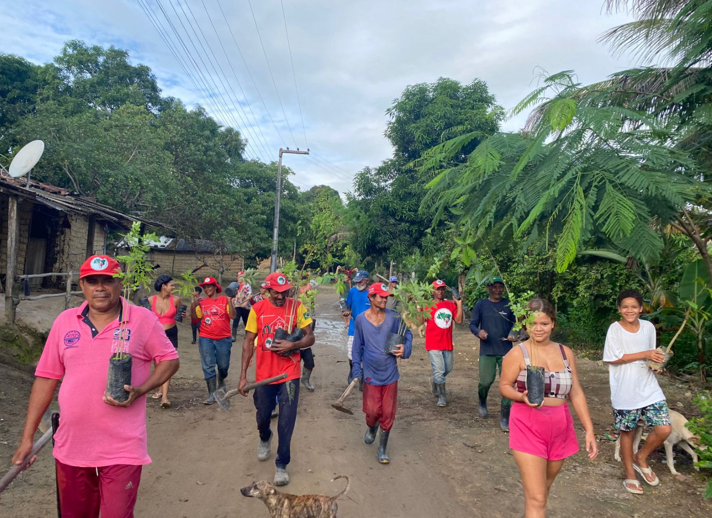 MST em Alagoas