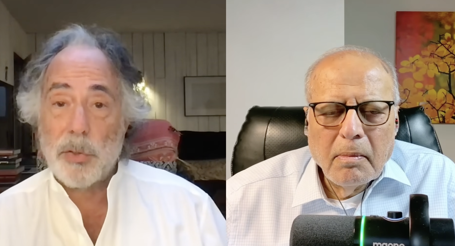 Pepe Escobar e Zulfiqar Ali