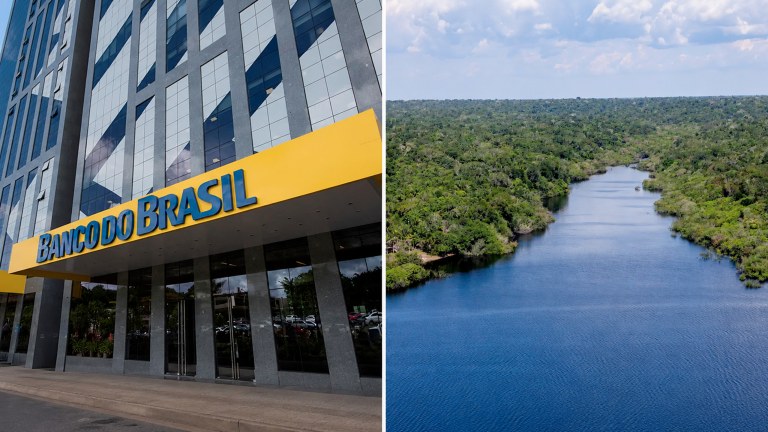 Banco do Brasil e a Amazônia