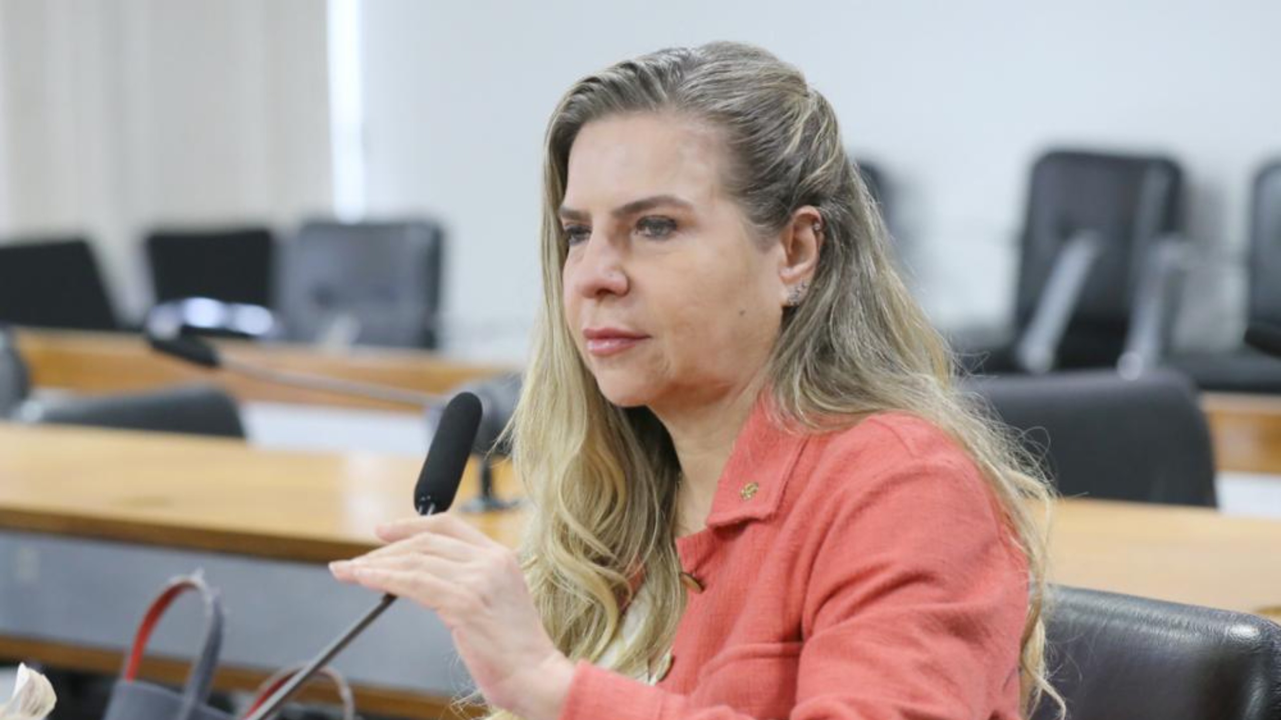 Dep. Luizianne Lins (REDE - CE)