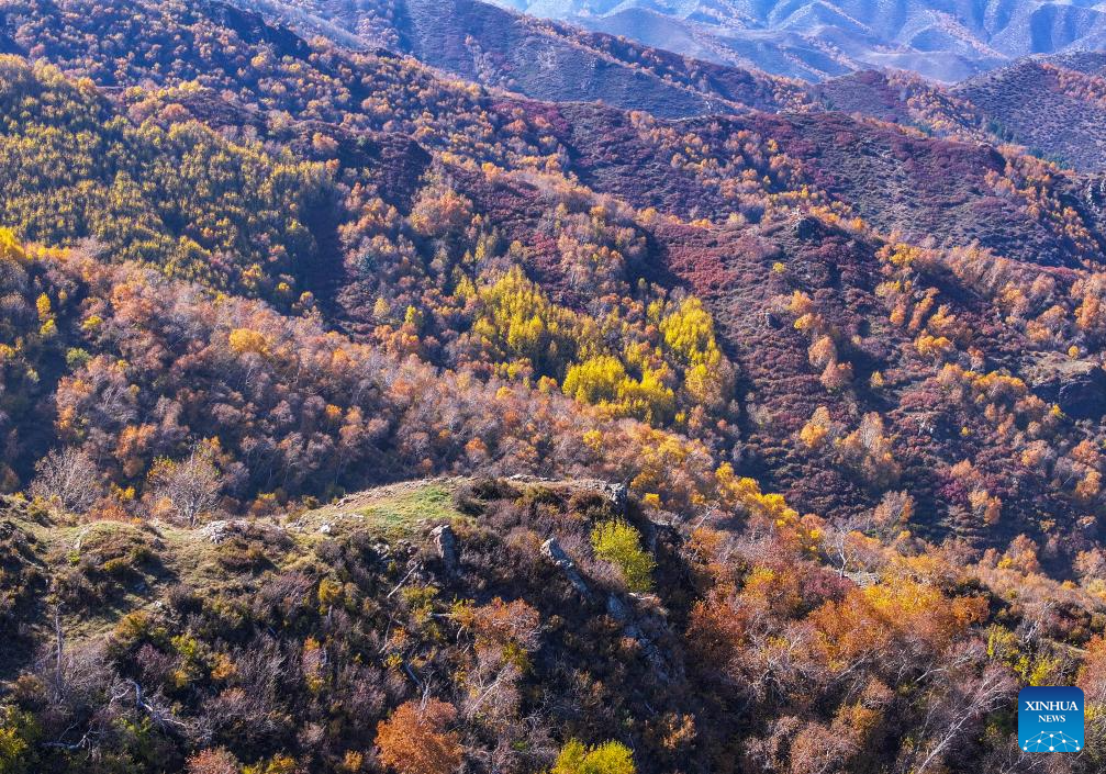 Xinhua/Lian Zhen