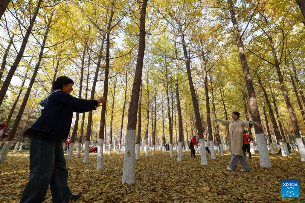 Paisagem outonal de parque florestal em Tianjin