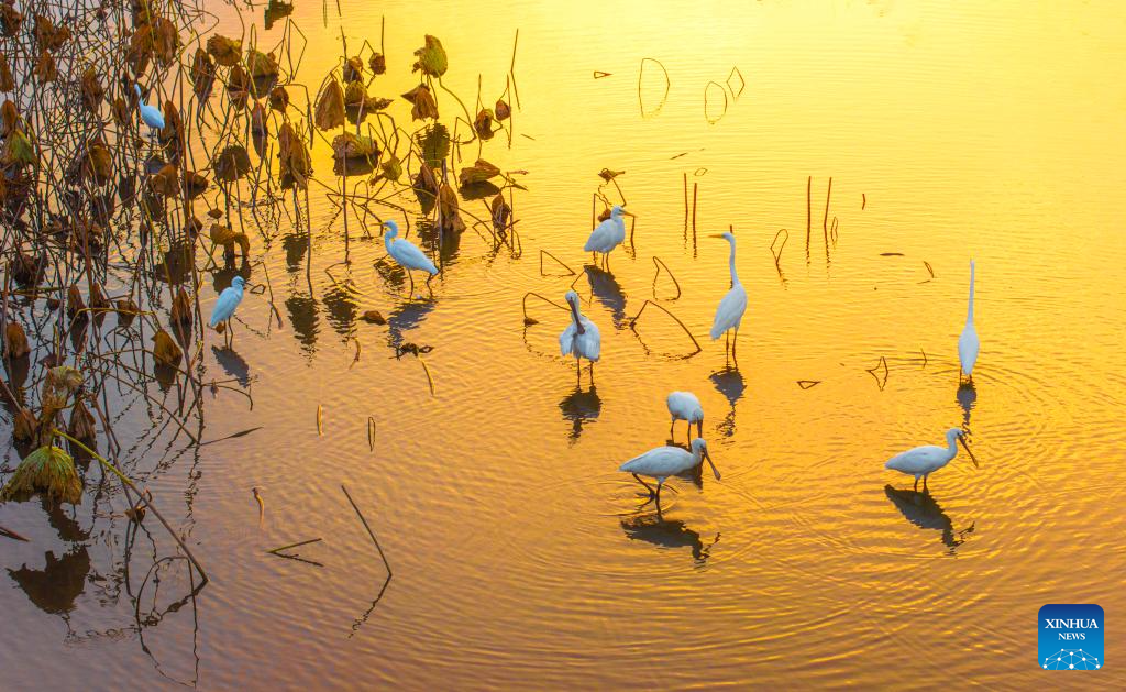 Foto por Zhou Shegen/Xinhua
