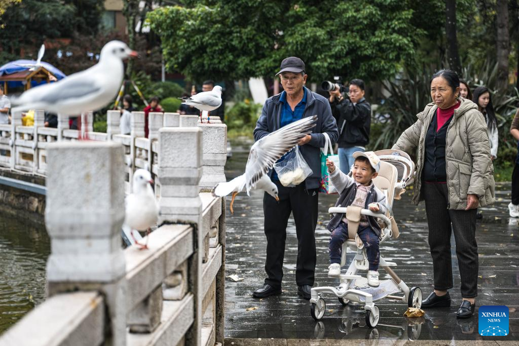 Xinhua/Wang Guansen