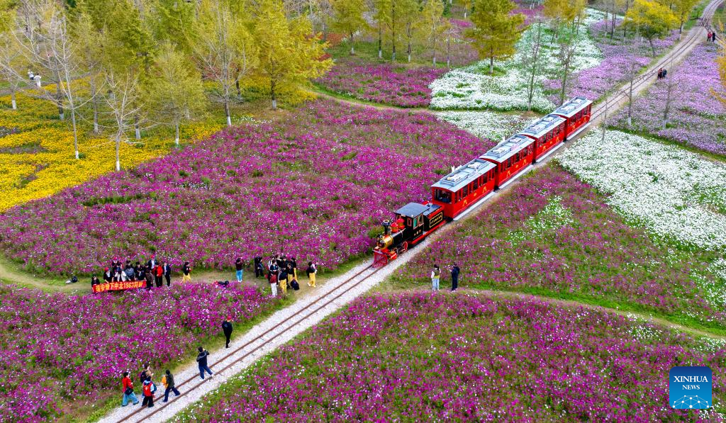 Inverno começa a transformar paisagens na China