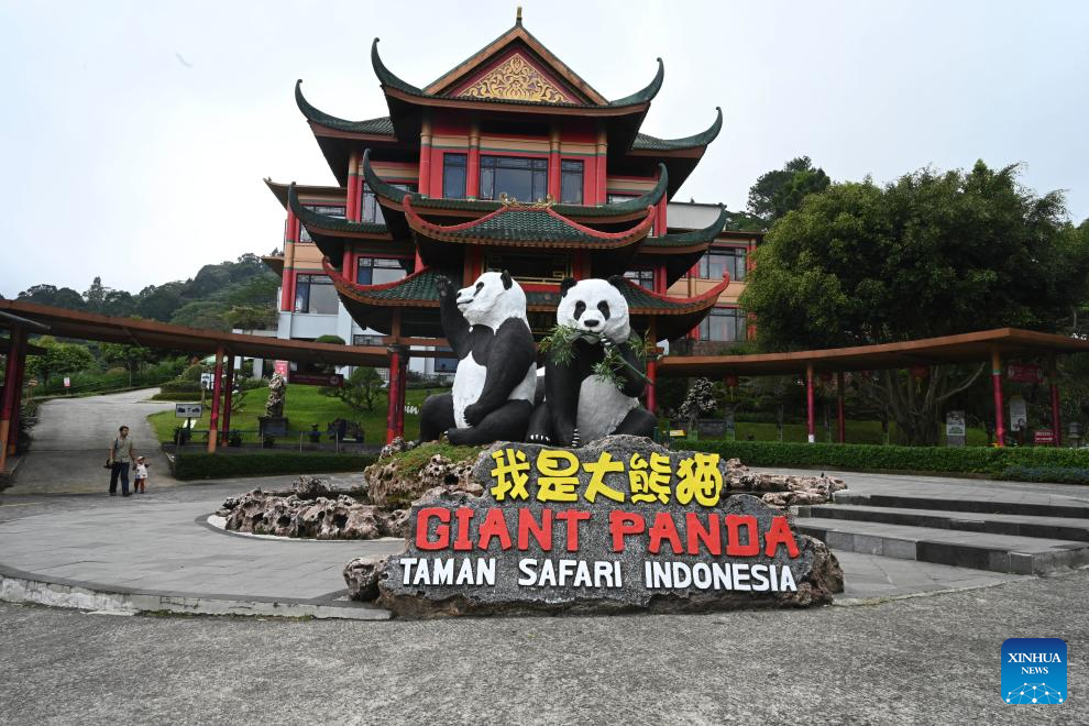 Destaque: Visitantes do Palácio dos Pandas na Indonésia vivenciam encanto da cultura chinesa