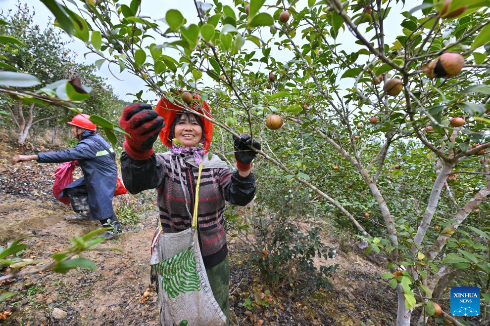 Xinhua/Jiang Kehong