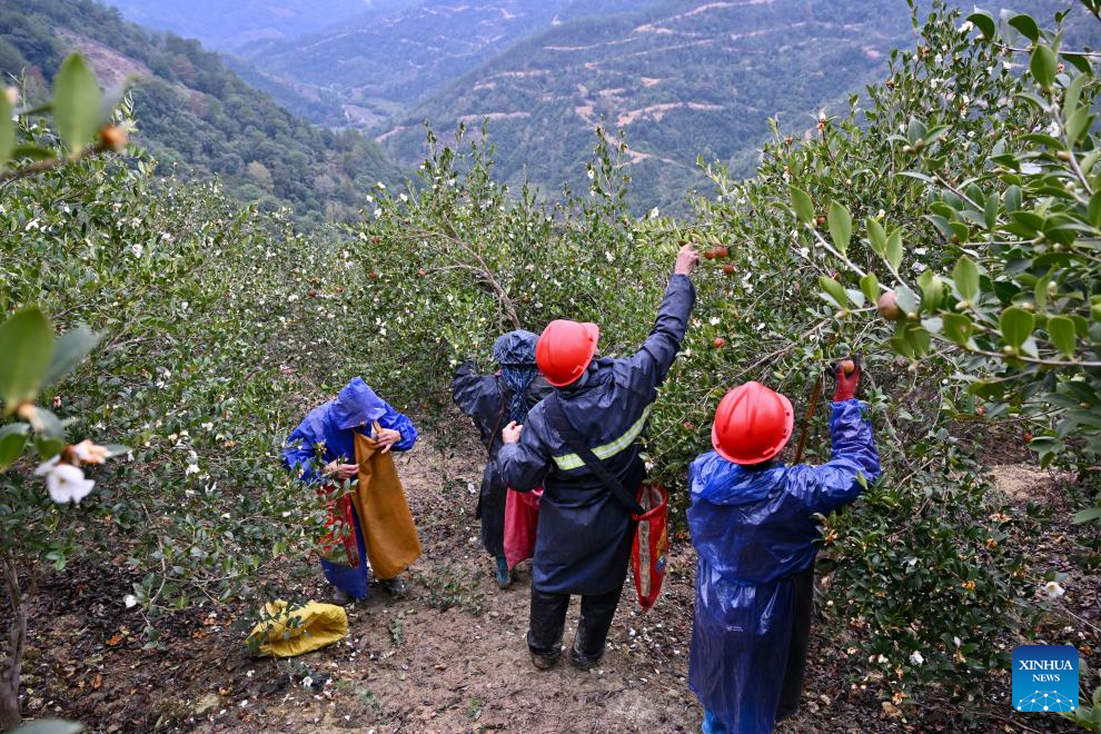 Xinhua/Jiang Kehong