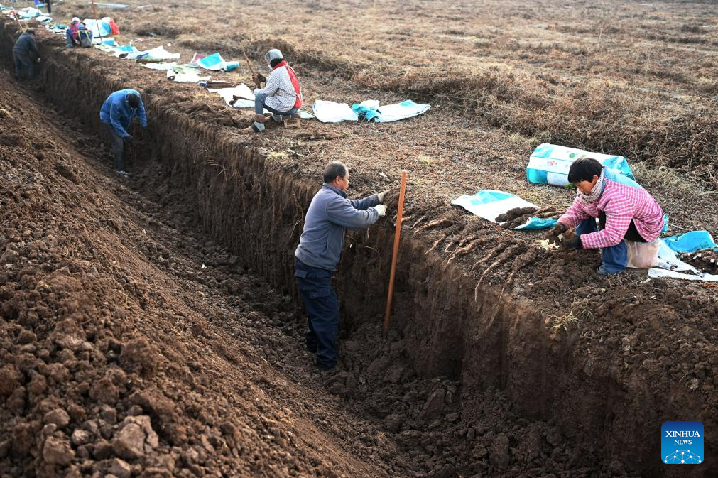 Foto por Yang Fan/Xinhua