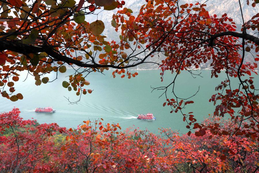 (Multimídia) China alcança importantes resultados com moratória de pesca de 10 anos no rio Yangtzé