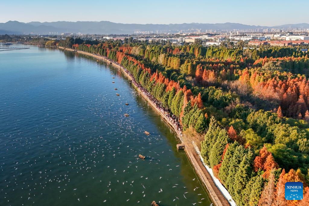 Confira belas paisagens do Lago Dianchi em Kunming, na Província de Yunnan