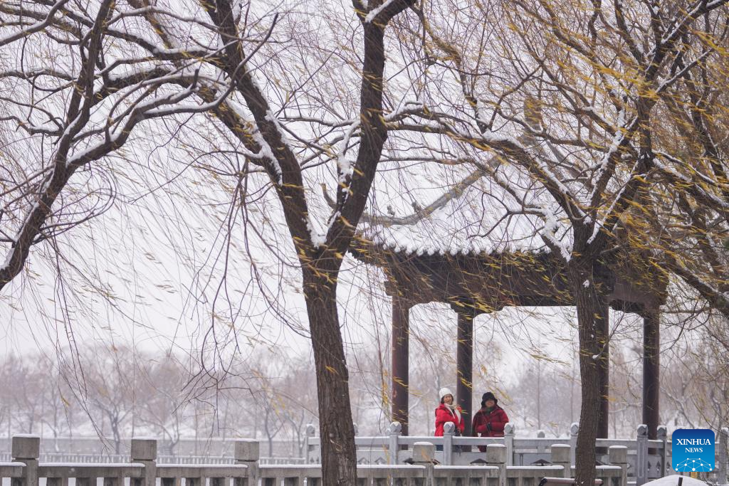 Neve transforma paisagens em cenários de serenidade na China
