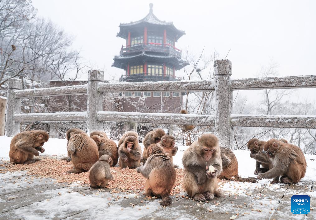 Foto por Wang Jianmin/Xinhua