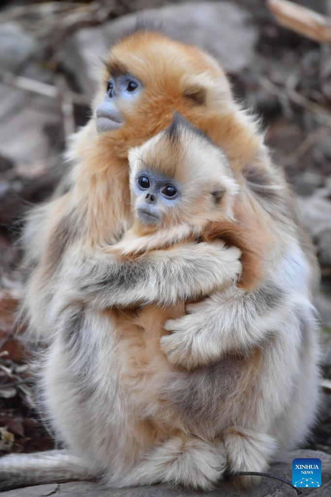 Xinhua/Shao Rui