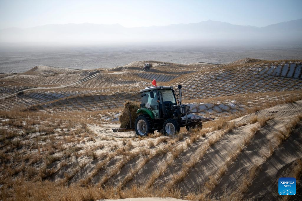Projeto de controle do desertificação segue em andamento em Aksay, na Província de Gansu