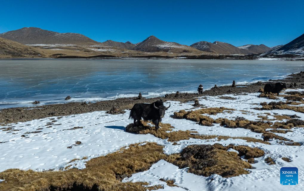 Xinhua/Tenzin Nyida