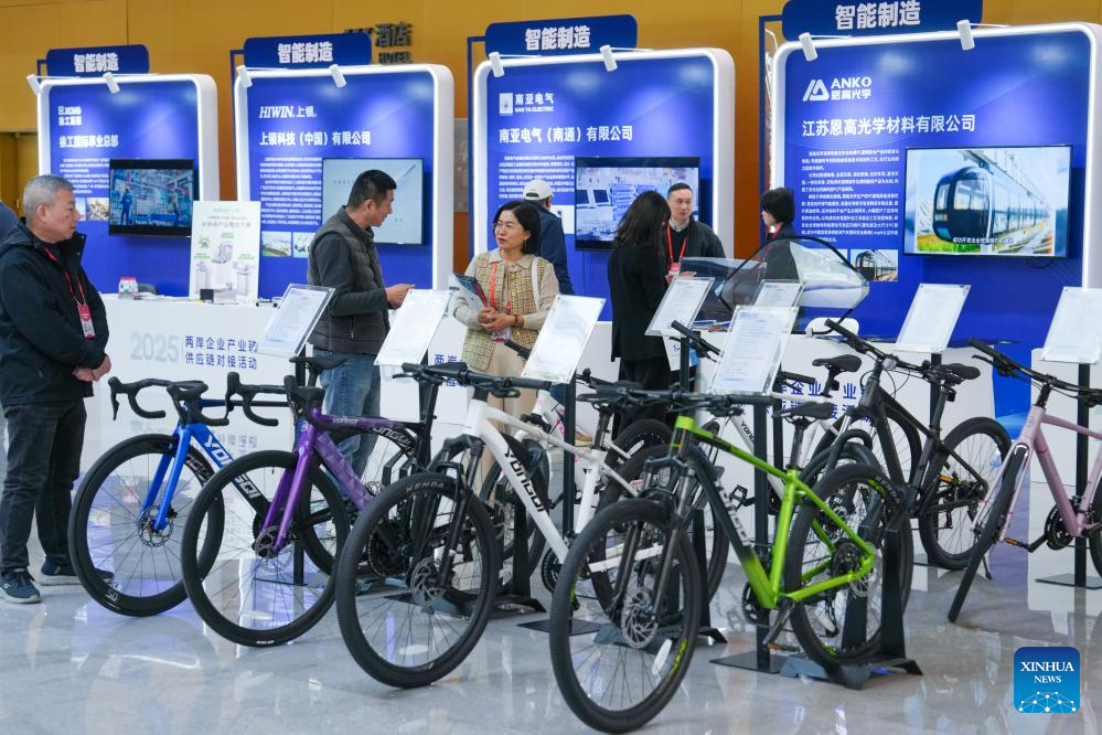 Conferência anual 2025 da Cúpula de CEOs através do Estreito é inaugurada em Nanjing