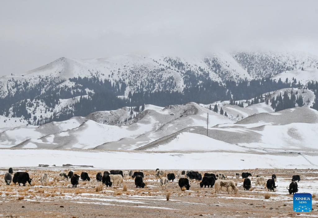 Neve transforma paisagem e encanta turistas na região do Lago Sayram, em Xinjiang, noroeste da China