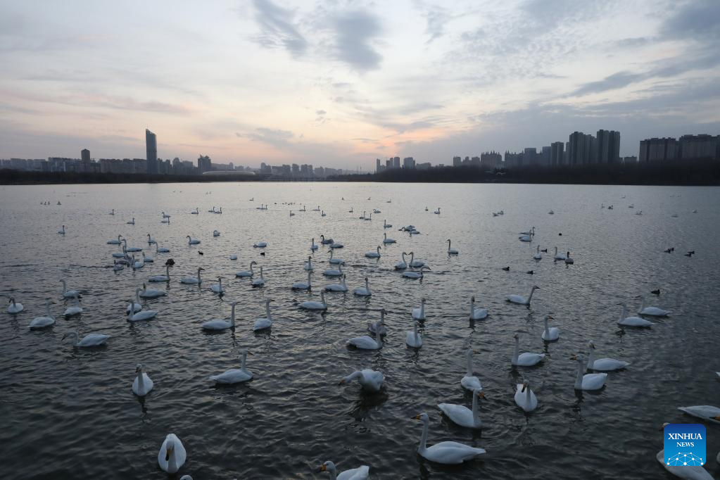 Foto por Xu Hongxing/Xinhua