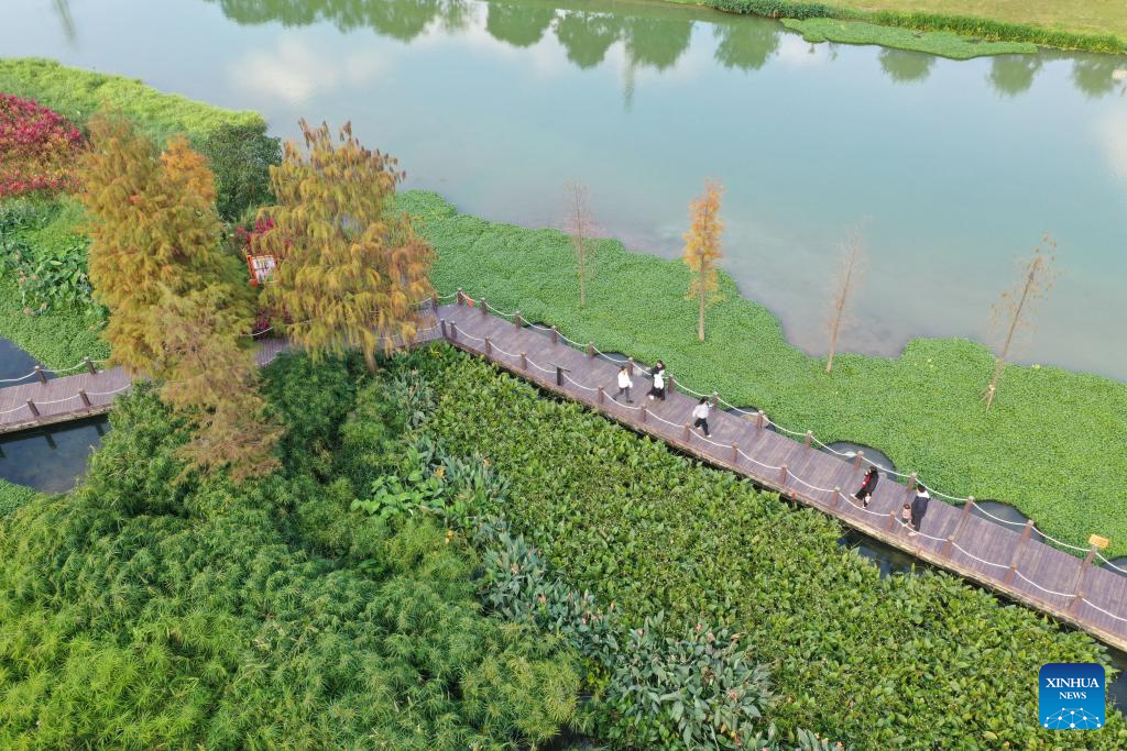 Paisagem do Parque do Pântano do Rio Nakao em Nanning, no sul da China