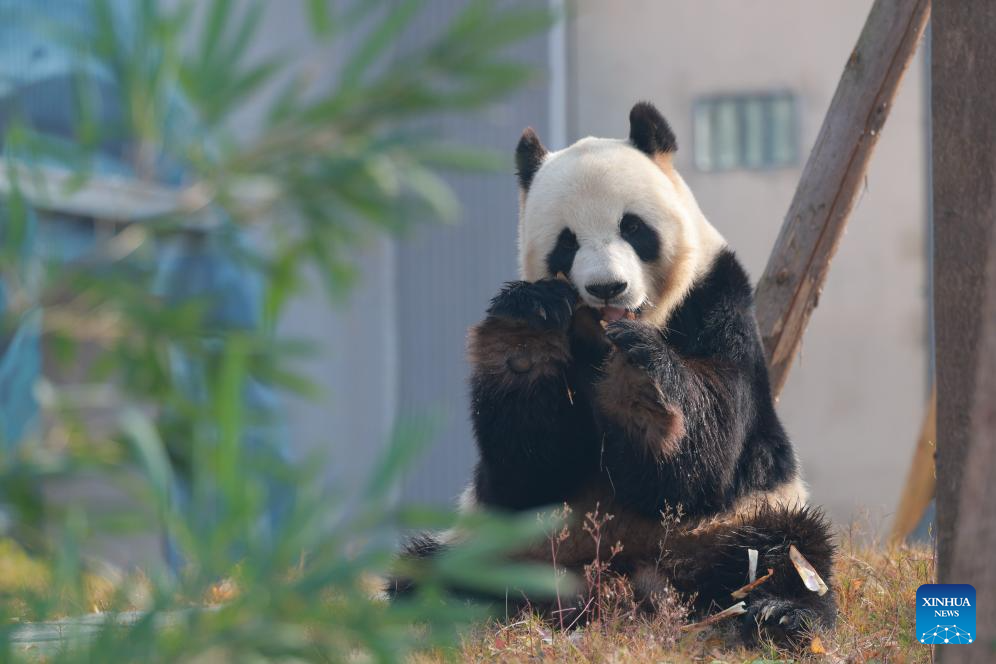 Xinhua/Chen Juwei