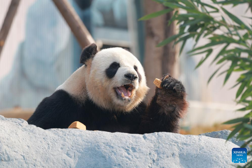 Xinhua/Chen Juwei