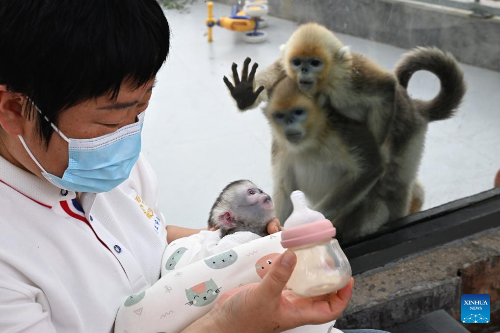 Foto de Li Heng/Xinhua
