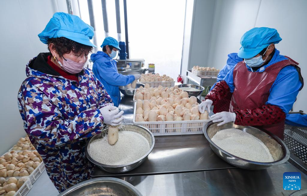 Vila chinesa de Lyushan impulsiona revitalização rural integral