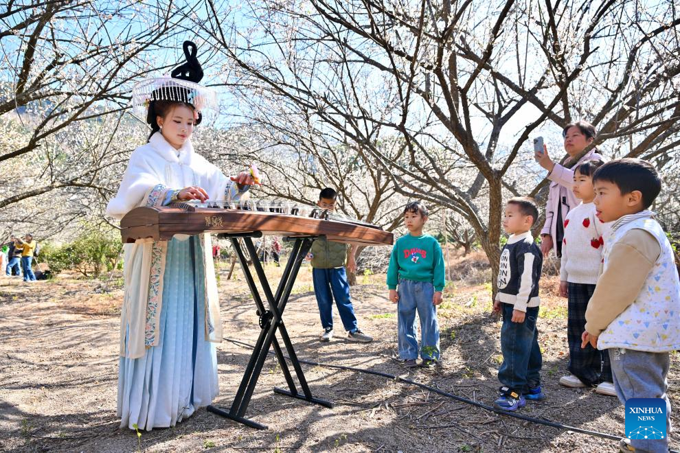 Festival anual das ameixeira em flor começa em Fujian, no sudeste da China