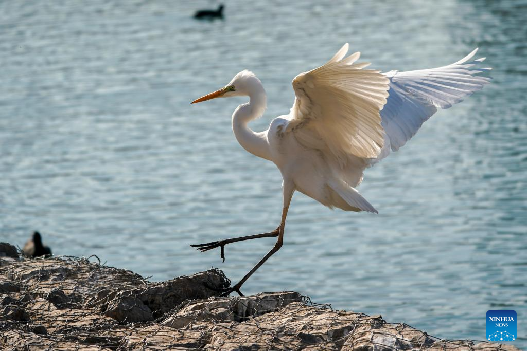 Xinhua/Yang Chenguang