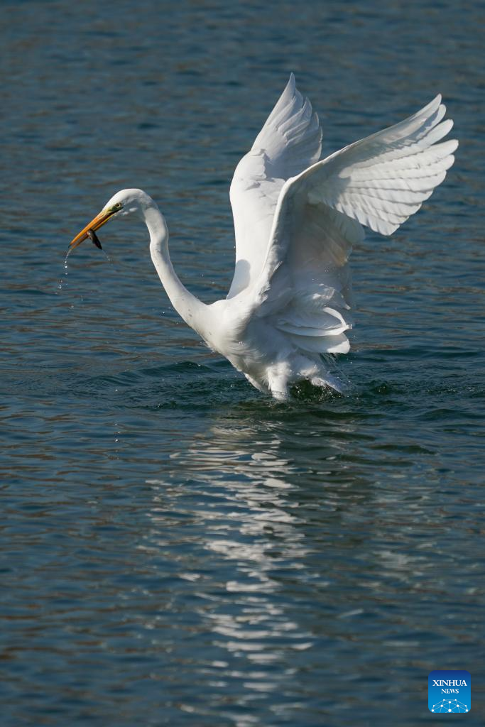 Xinhua/Yang Chenguang