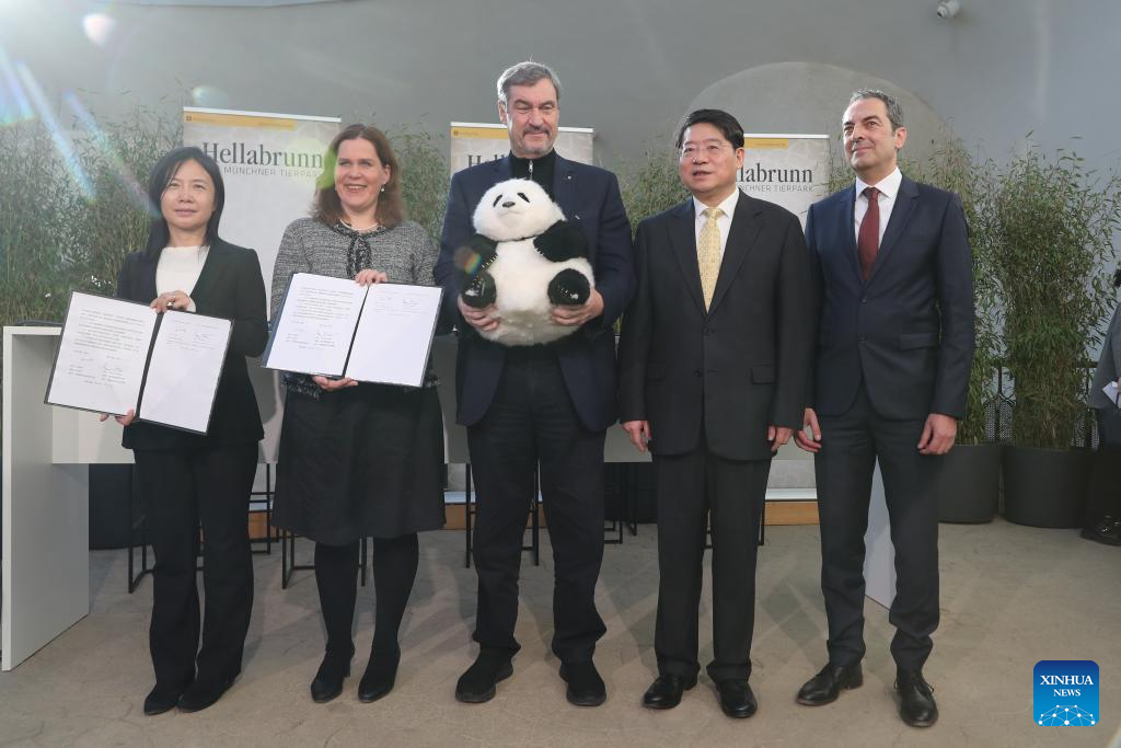 China enviará 2 pandas-gigantes para o zoológico de Munique em um programa de conservação de 10 anos