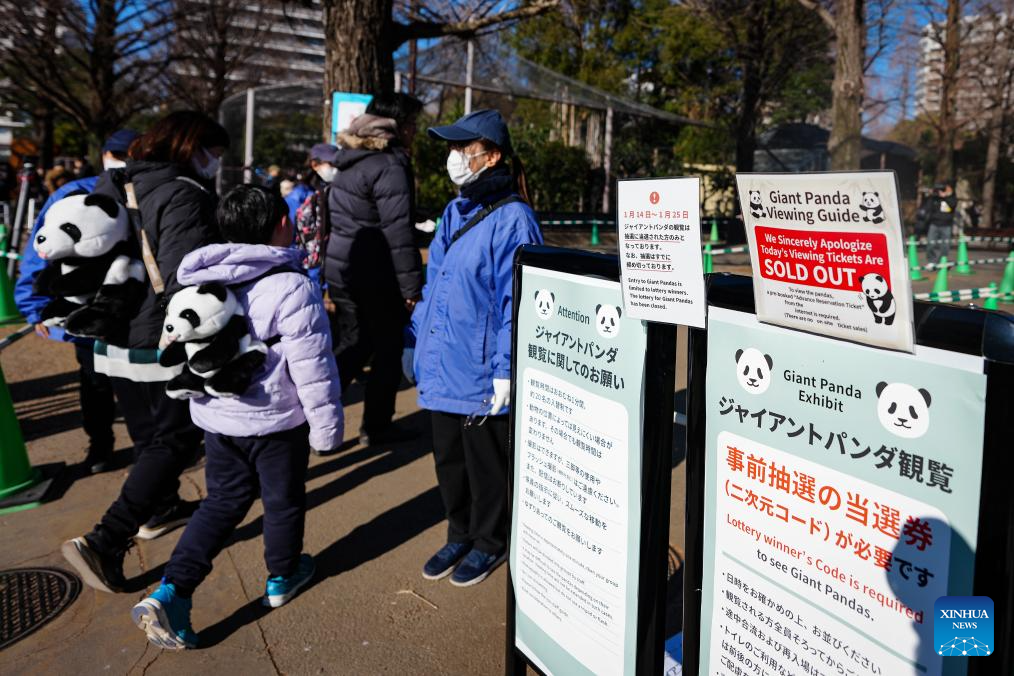 Últimos dois pandas gigantes no Japão retornarão para a China em 27 de janeiro
