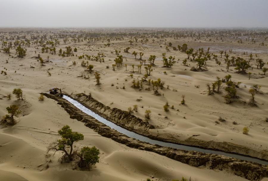 Entrevista: China desempenha papel importante no avanço das normas internacionais de divulgação, diz chefe do órgão normatizador