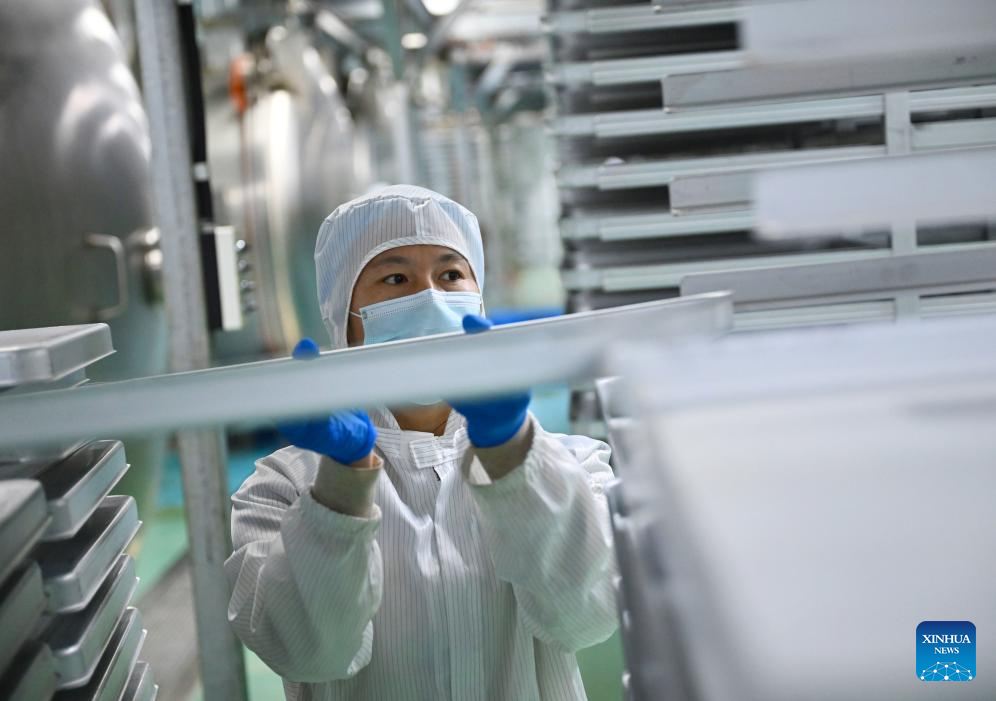 Distrito chinês de Puyang desenvolve sistema de produção de café com cadeia industrial completa