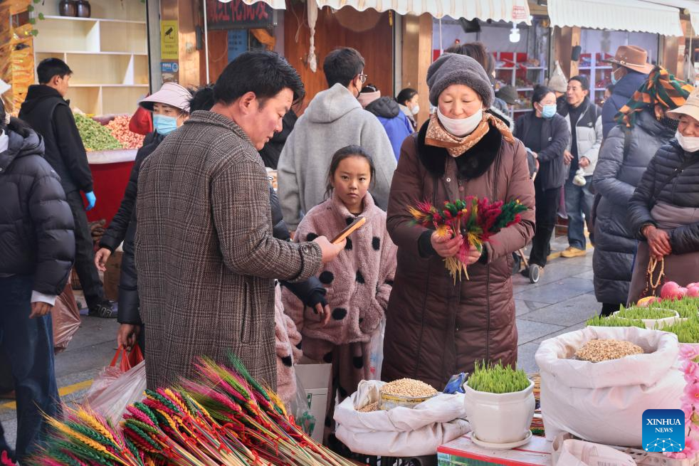 Festa da Primavera e Ano Novo Tibetano agitam comércio em Lhasa, Xizang