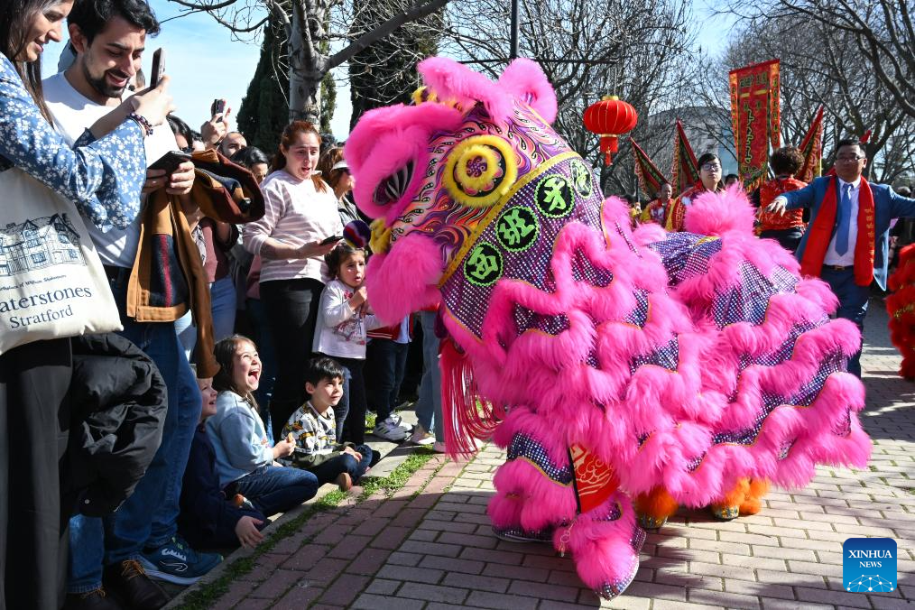 Madri comemora o Ano Novo Chinês com festas e queima de fogos