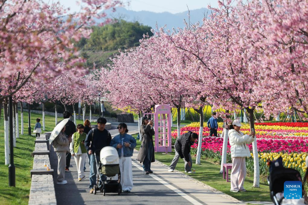 Flores colorem a paisagem da primavera em Zhejiang