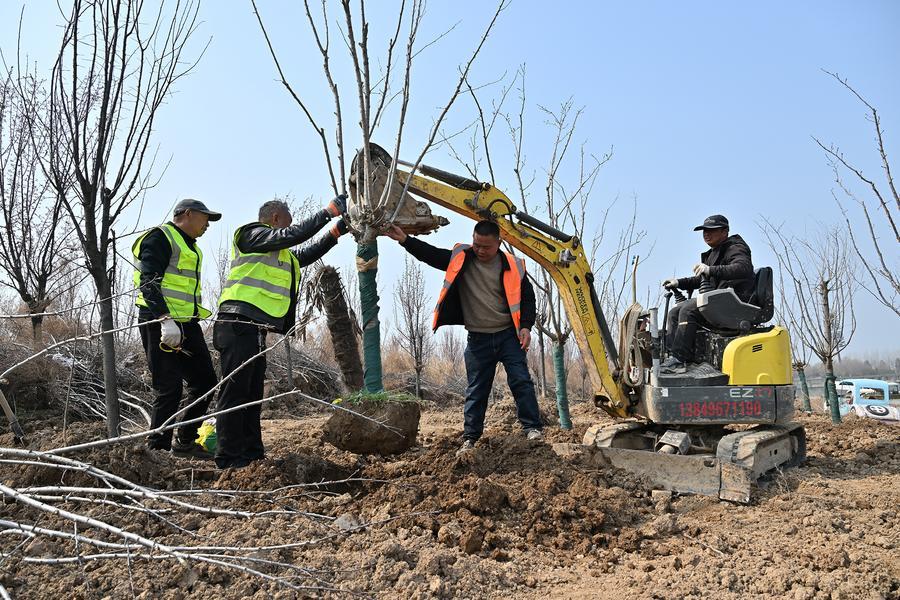 (Multimídia) Taxa de cobertura florestal e de pastagens da China ultrapassa 56%, diz relatório