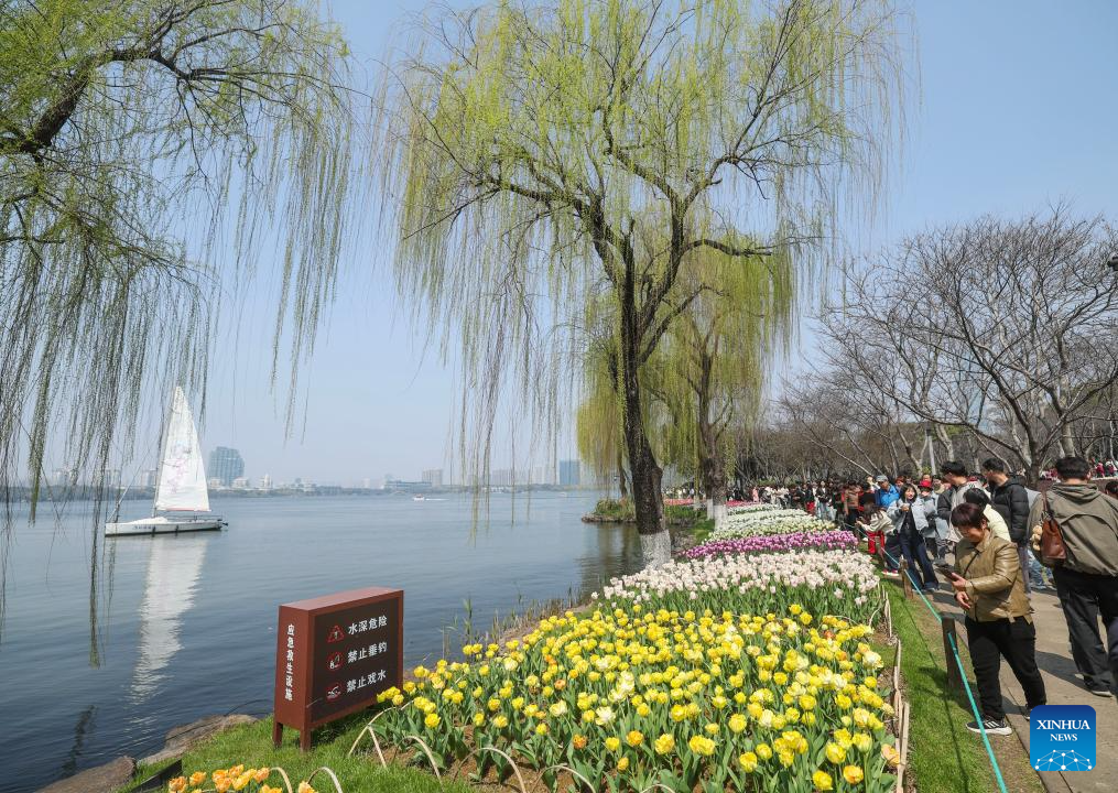 Primavera embeleza a paisagem em Shaoxing, na província chinesa de Zhejiang