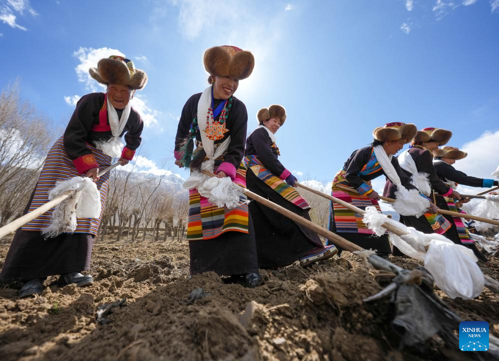Rituais tradicionais marcam início do plantio da primavera em Xizang, no sudoeste da China