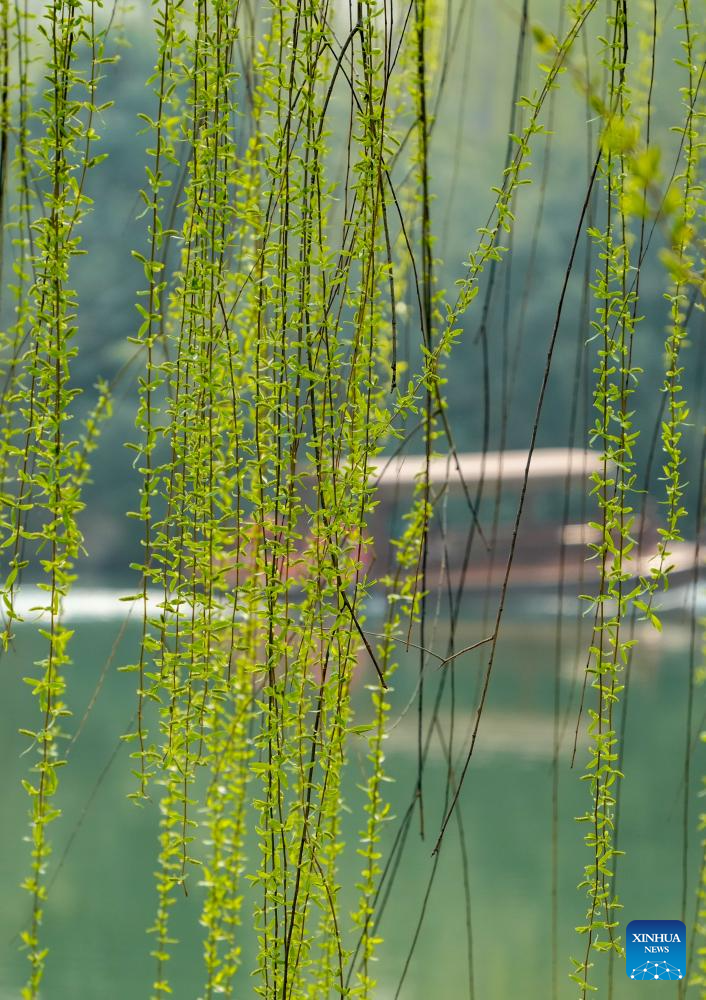 Lago Daming atrai turistas em Jinan, na província chinesa de Shandong