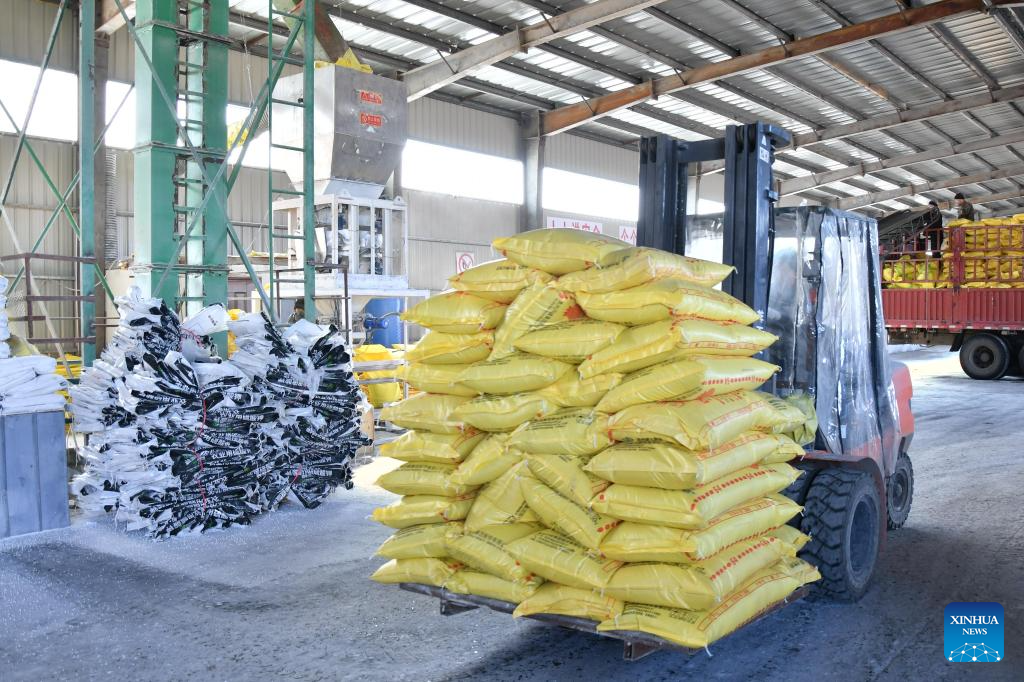 Foto de Qian Boyu/Xinhua