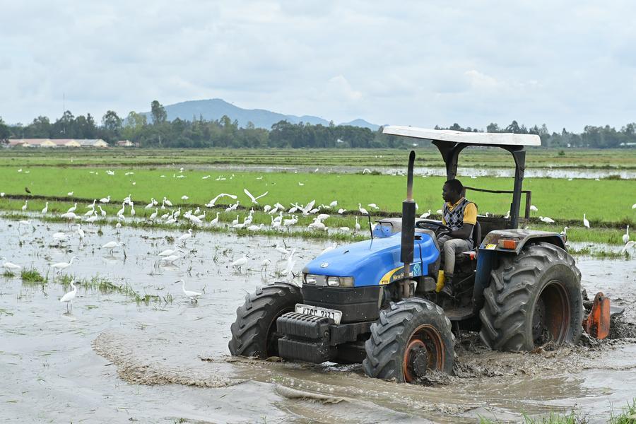 Projeto de irrigação construído pela China traz esperança de irrigação por gravidade para agricultores quenianos