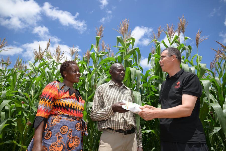 Lu Puzheng (à direita), membro do 4º lote de especialistas agrícolas da China na Zimbábue, oferece instrução sobre técnicas de plantação de milho aos residentes locais na aldeia Zindi, no distrito de Shamva da Província de Mashonaland Central, no Zimbábue, em 26 de janeiro de 2026. (Xinhua/Yang Guang)
