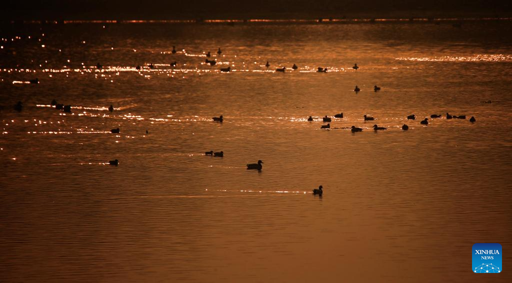 Foto de Zhang Shu/Xinhua