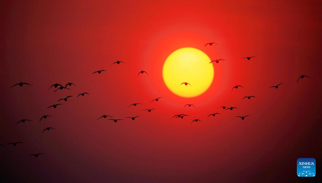 Foto de Zhang Shu/Xinhua