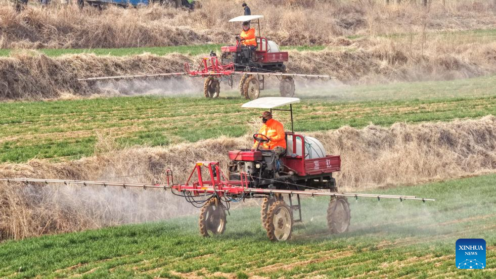 Agricultores realizam aragem de primavera e manejo de culturas em Shandong, no leste da China